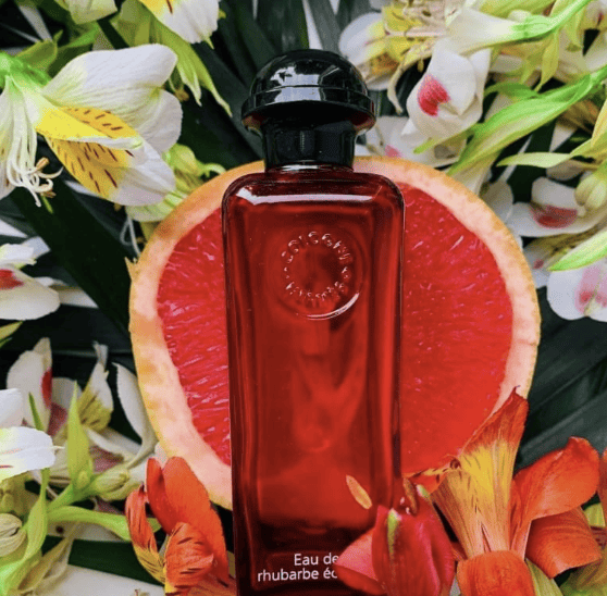 HERMES EAU DE RHUBARBE ECARLATE EDC 100 ML - HLY & CHOCCICO