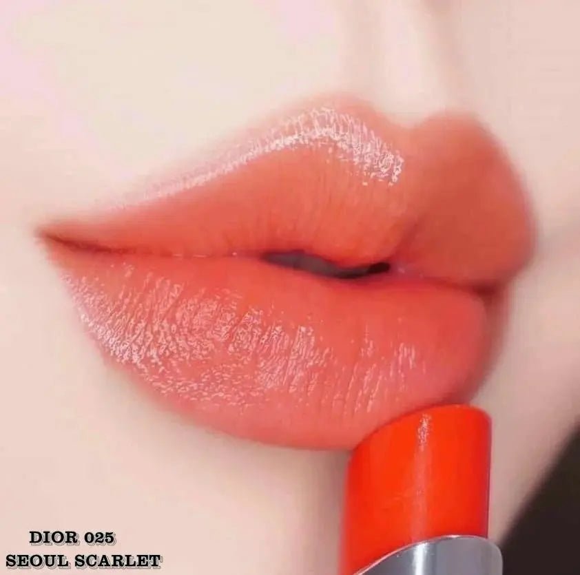 【一口價$250/支】Dior誘惑煥彩潤唇膏-8色 (免稅貨) - HLY & CHOCCICO