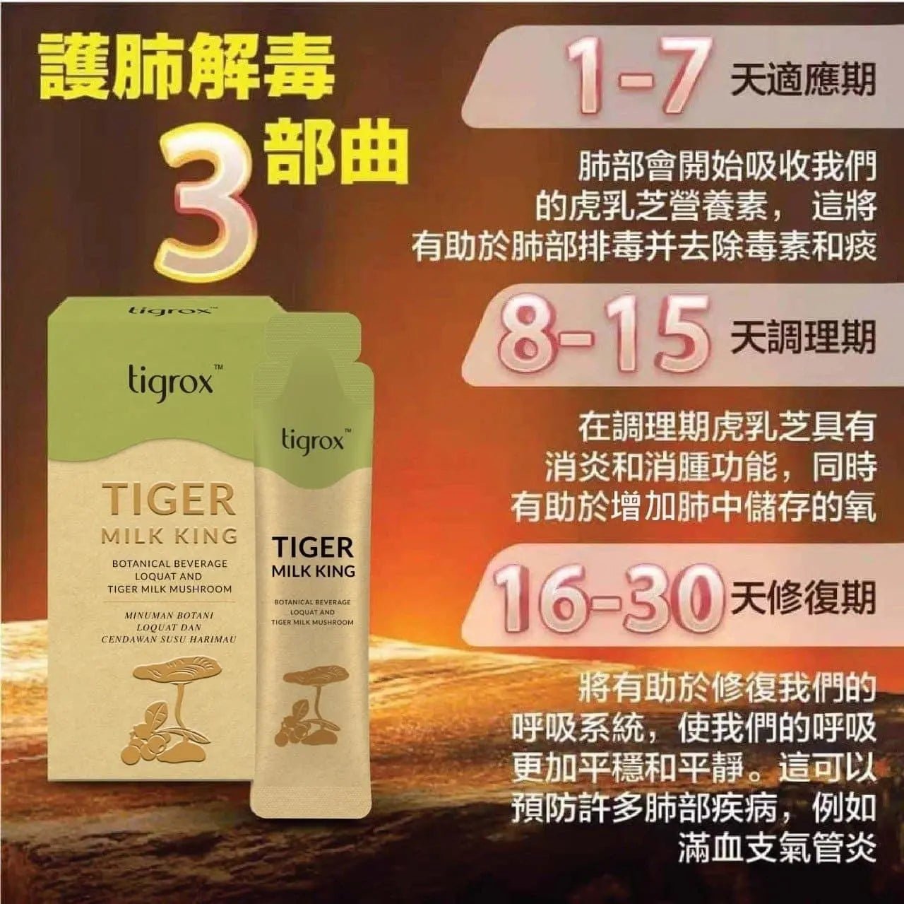 【一口價$700/盒】Tigrox 虎乳芝養肺飲 (1盒20條) HLY & CHOCCICO