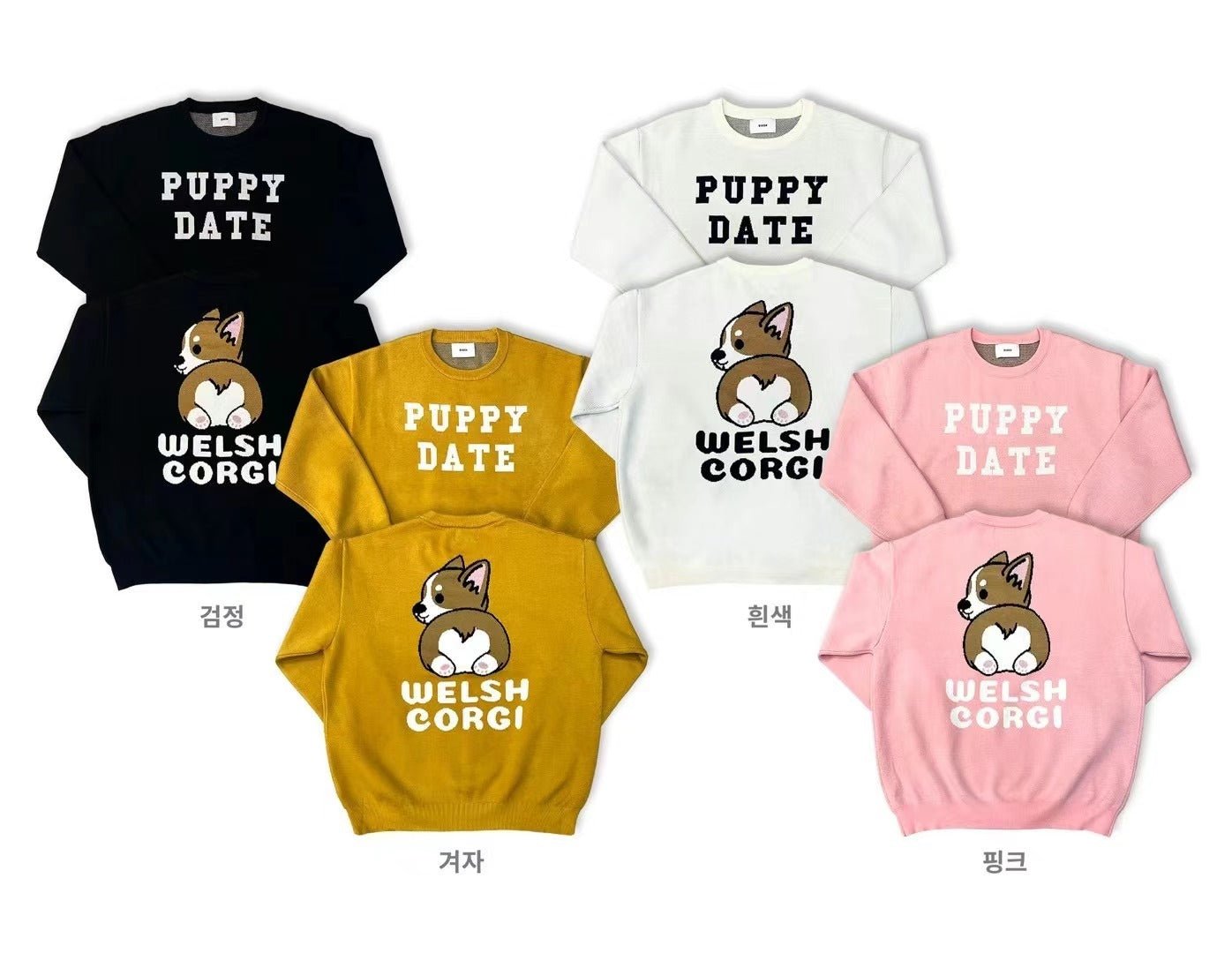 韓國直送 BARON Welsh Corgi Knit - HLY & CHOCCICO