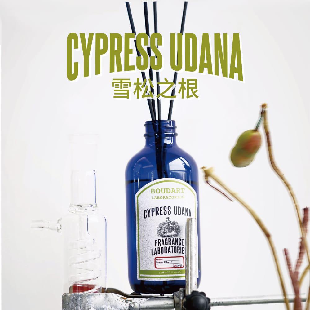 BOUDART LABORATORIES Aqua Apana Reed Diffuser 230ml HLY & CHOCCICO