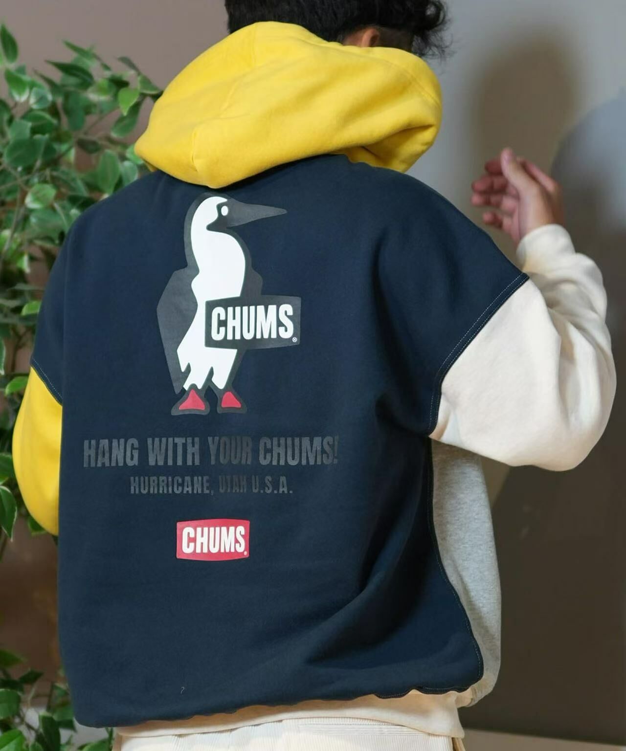 CHUMS Back Print Brushed Lining Hoodie - HLY & CHOCCICO