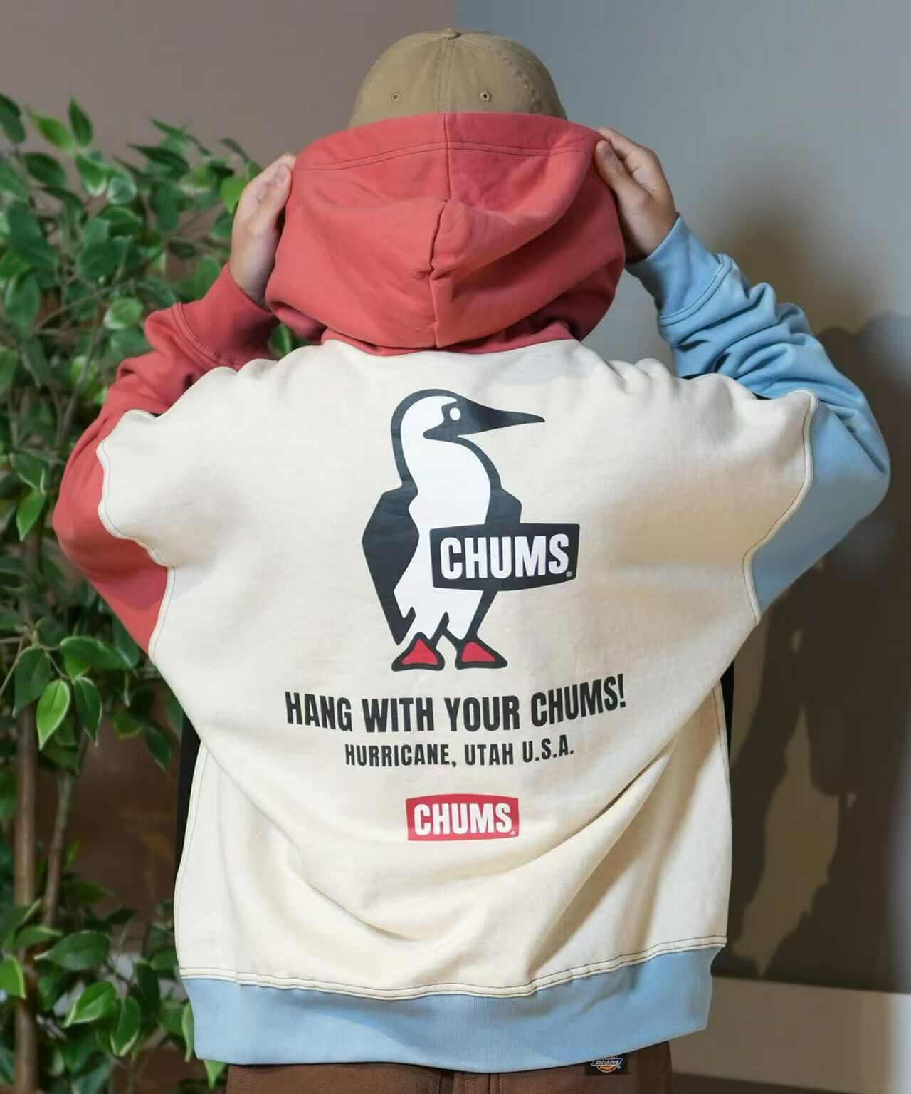 CHUMS Back Print Brushed Lining Hoodie - HLY & CHOCCICO