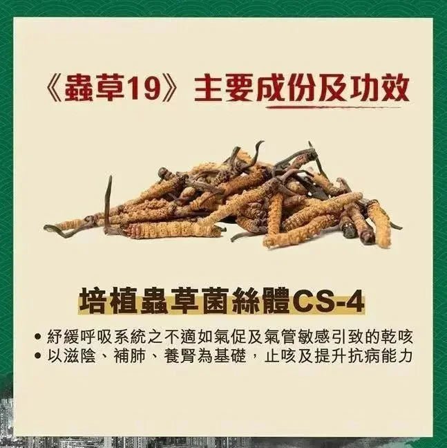 全城do姐價😍 蟲草大王《蟲草19》60粒裝 **新優惠💥 3件起 送1版仔 (售完即止)** - HLY & CHOCCICO