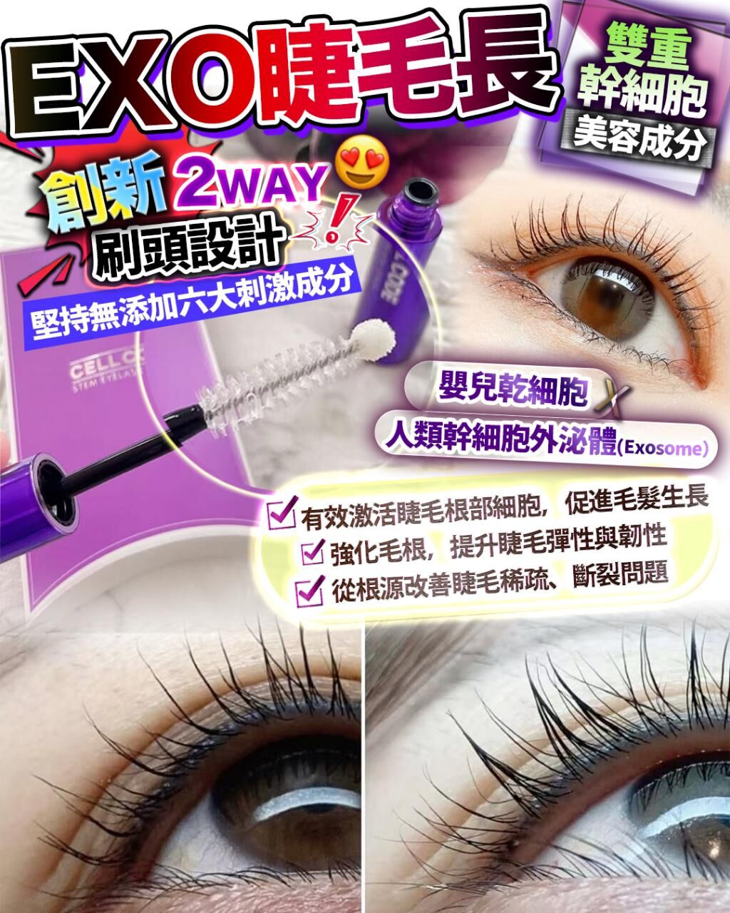 Exo睫毛長 - HLY & CHOCCICO