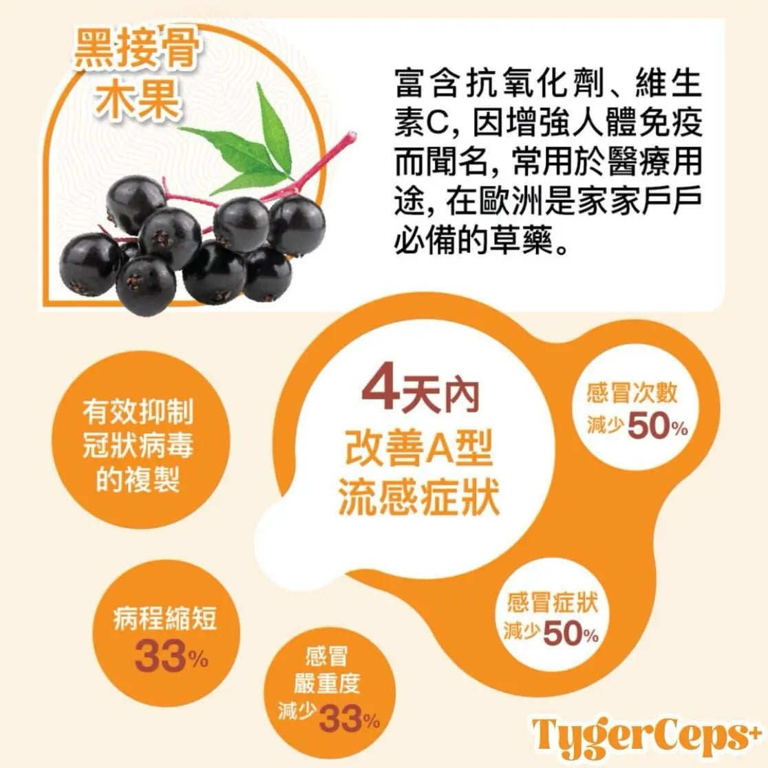 【一口價$499/盒】⭐️最新升級版配方⭐ TygerCeps+ 虎乳芝益肺寶 每盒有20包(一包20ml) - HLY & CHOCCICO