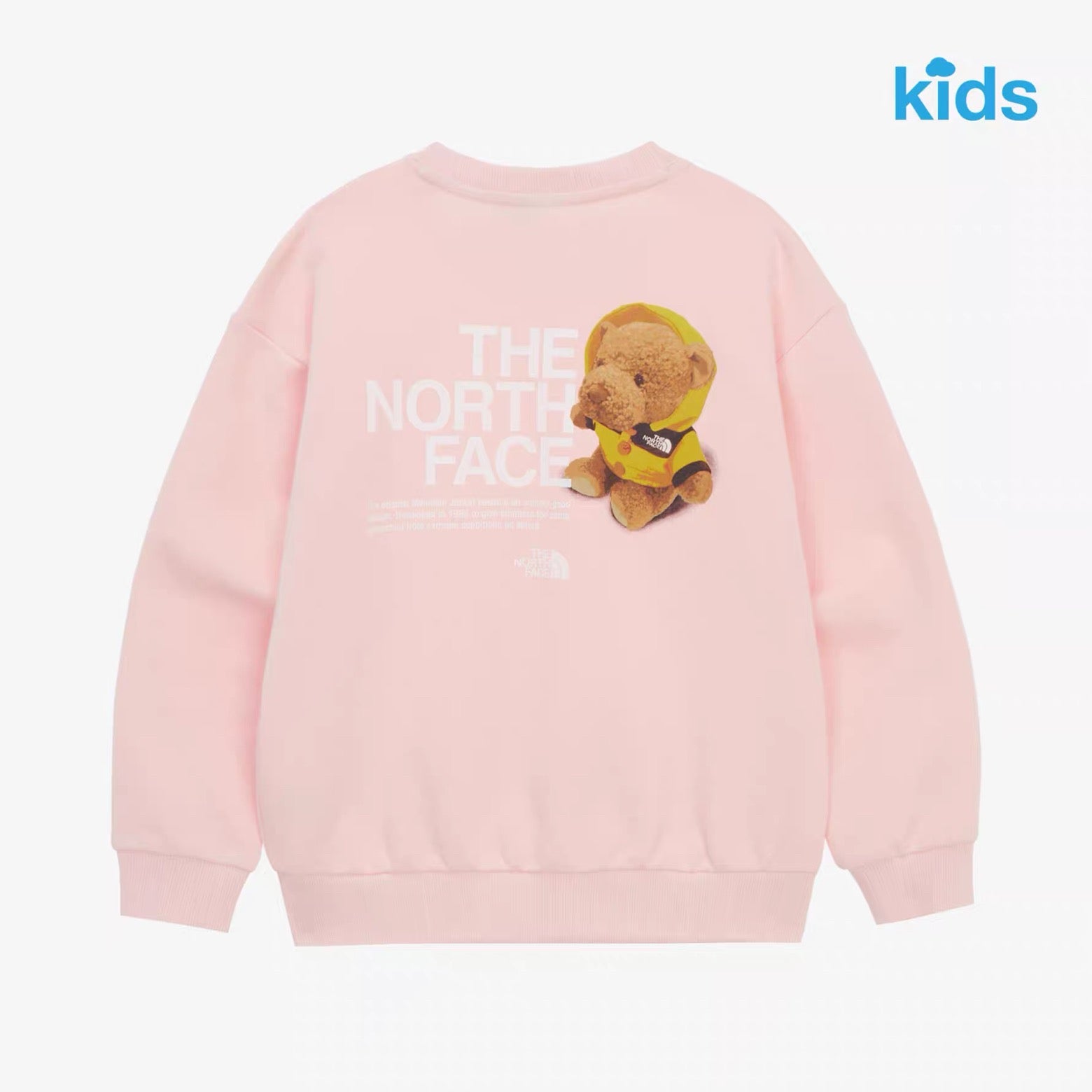 TNF Kids Glen Stripe L/S Sweatshirt - HLY & CHOCCICO