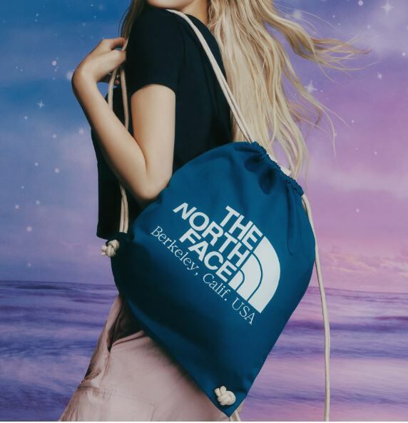 韓國直送 TNF BIG LOGO BAG -7 Colors Nya醬外貿服飾 (大廠)