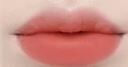 Prada 裸棕新色唇膏 3.8g💄 15色