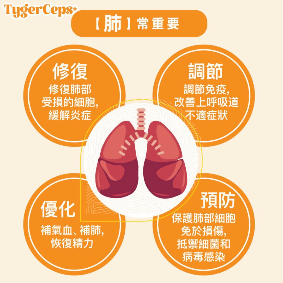 【一口價$499/盒】⭐️最新升級版配方⭐ TygerCeps+ 虎乳芝益肺寶 每盒有20包(一包20ml)