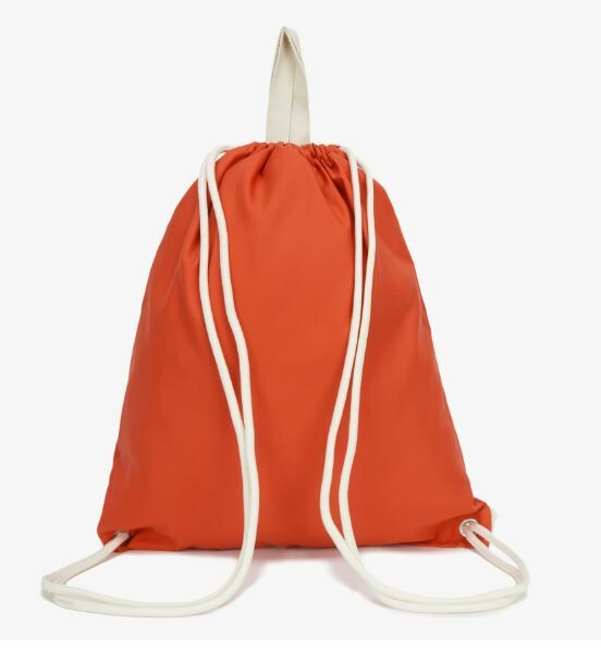 韓國直送 TNF BIG LOGO BAG -7 Colors Nya醬外貿服飾 (大廠)