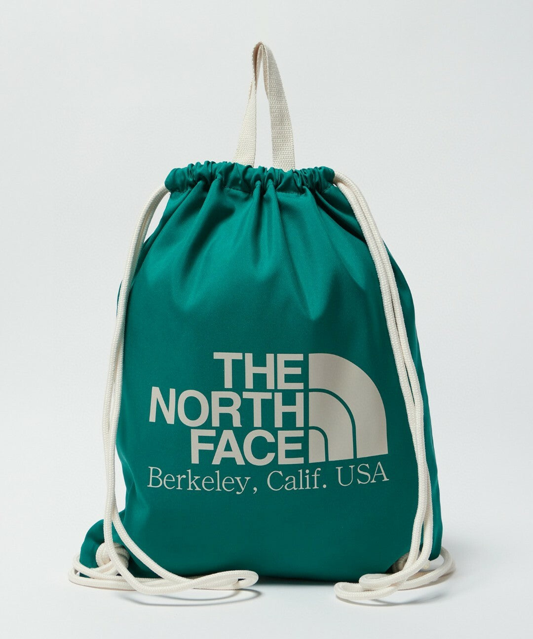 韓國直送 TNF BIG LOGO BAG -7 Colors Nya醬外貿服飾 (大廠)