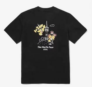 TNF Seoul four seasons Tee -4 Color
