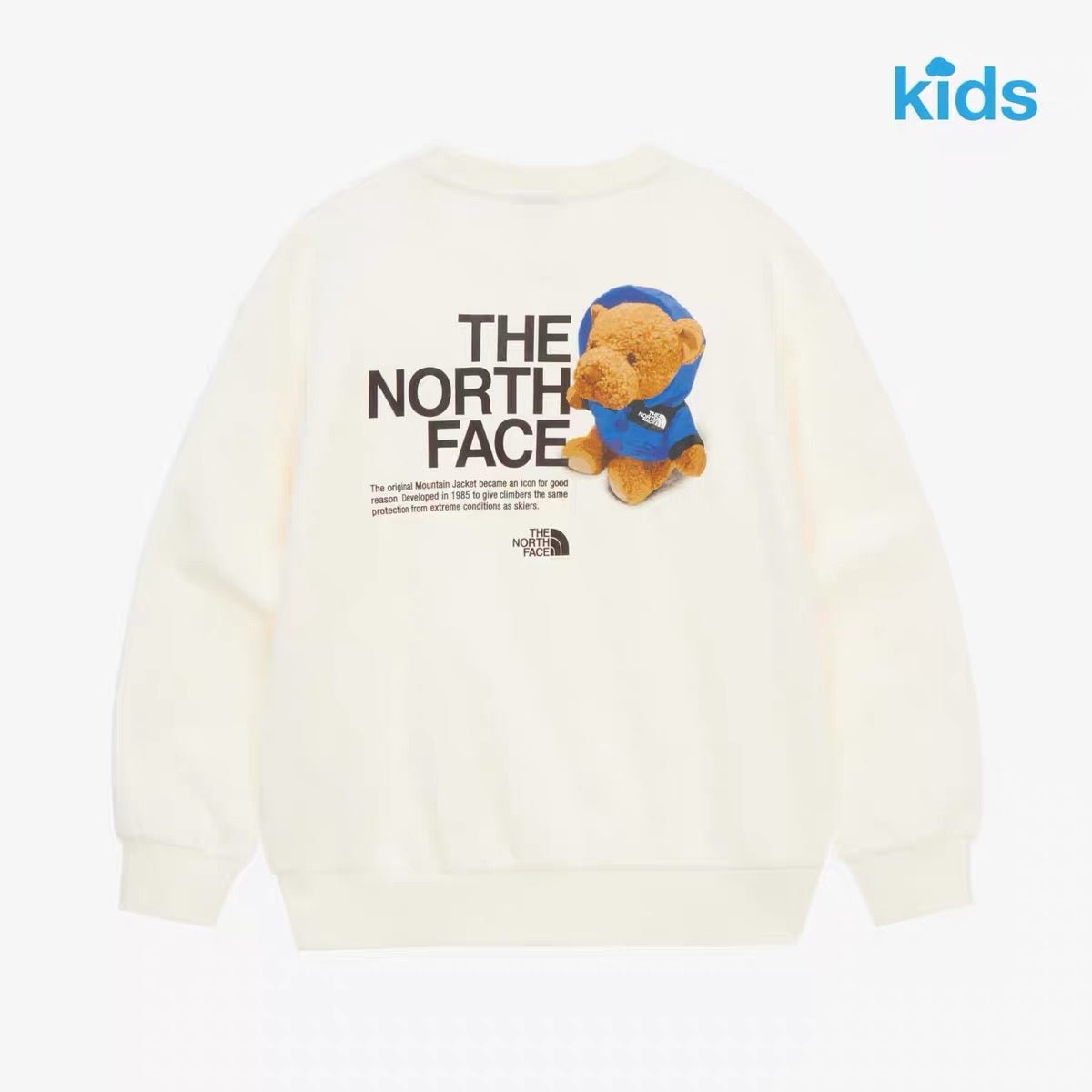 TNF Kids Glen Stripe L/S Sweatshirt - HLY & CHOCCICO