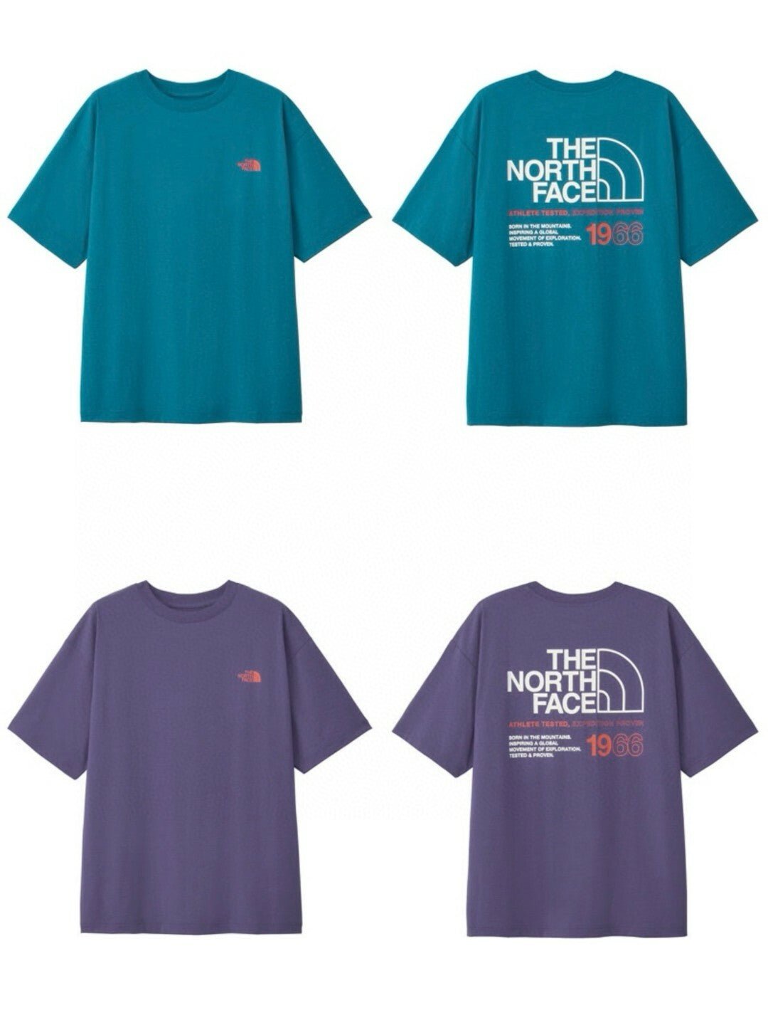 TNF Short Sleeve ES66 Logo Wide Tee - HLY & CHOCCICO