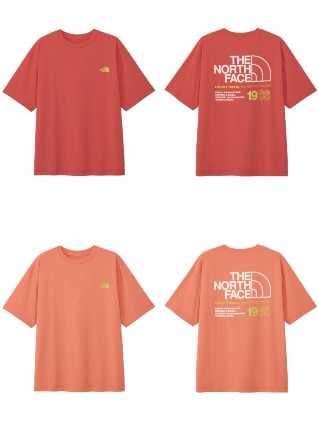 TNF Short Sleeve ES66 Logo Wide Tee - HLY & CHOCCICO