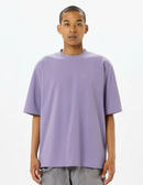 Goldwin Graphic Tee (大廠)