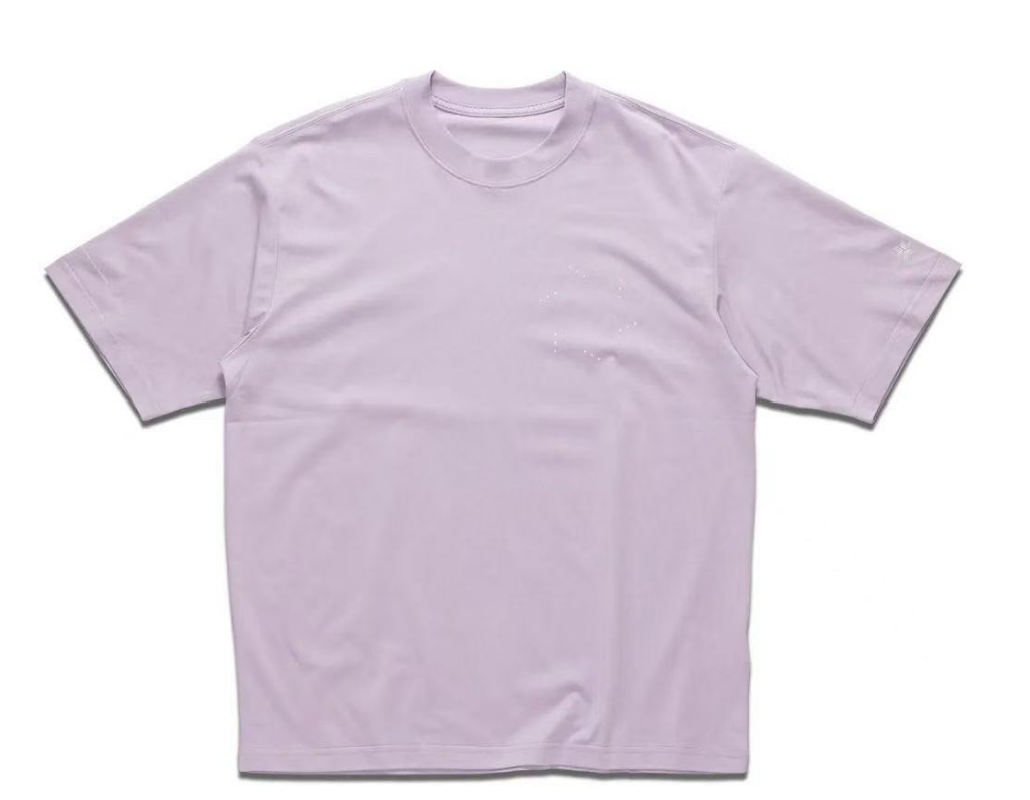 Goldwin Graphic Tee (大廠)