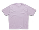 Goldwin Graphic Tee (大廠)