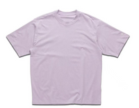 Goldwin Graphic Tee (大廠)