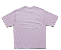 Goldwin Graphic Tee (大廠)