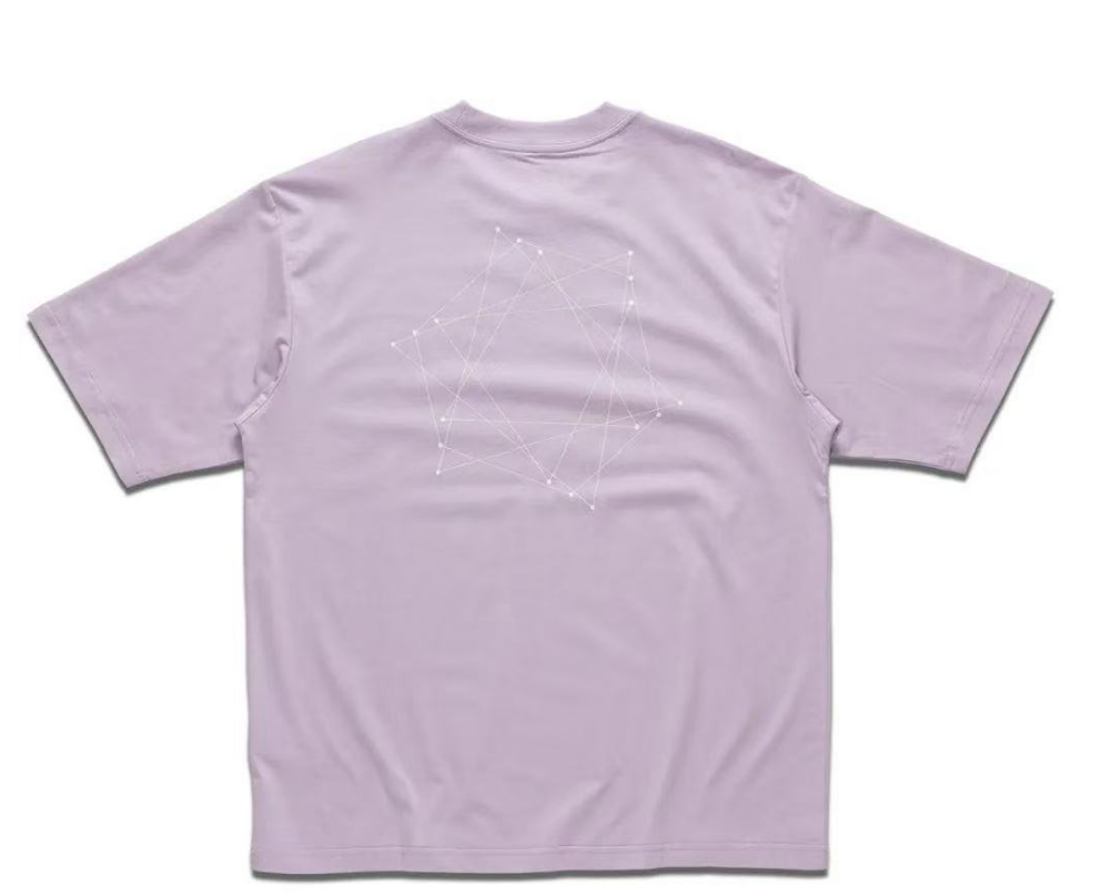 Goldwin Graphic Tee (大廠)