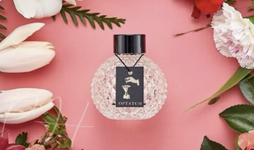 💁🏻‍♀韓國OPTATUM 芳香擴香瓶 100ml OPTATUM香薰+香薰棒