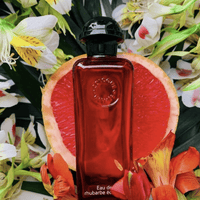 HERMES EAU DE RHUBARBE ECARLATE EDC 100 ML - HLY & CHOCCICO