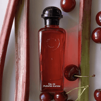 HERMES EAU DE RHUBARBE ECARLATE EDC 100 ML - HLY & CHOCCICO