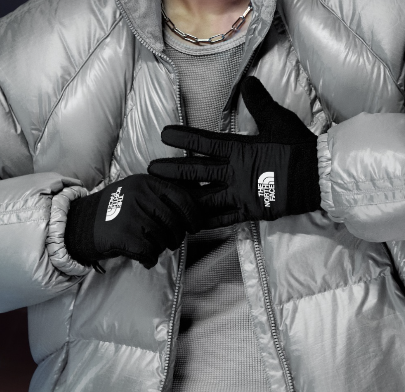 韓國直送TNF WL FLEECE GLOVE - HLY &amp; CHOCCICO