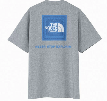 TNF Goldwin Box Short Sleeve Tee - HLY &amp; CHOCCICO