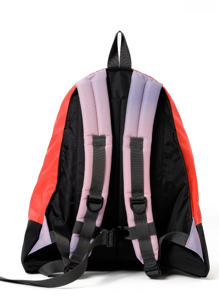 Direct from Japan: GREGORY x BMS NICE DAY V2 Backpack (Limited Edition) ❤️‍🔥Order deadline: July 11th, 9:30 PM ❤️‍🔥
