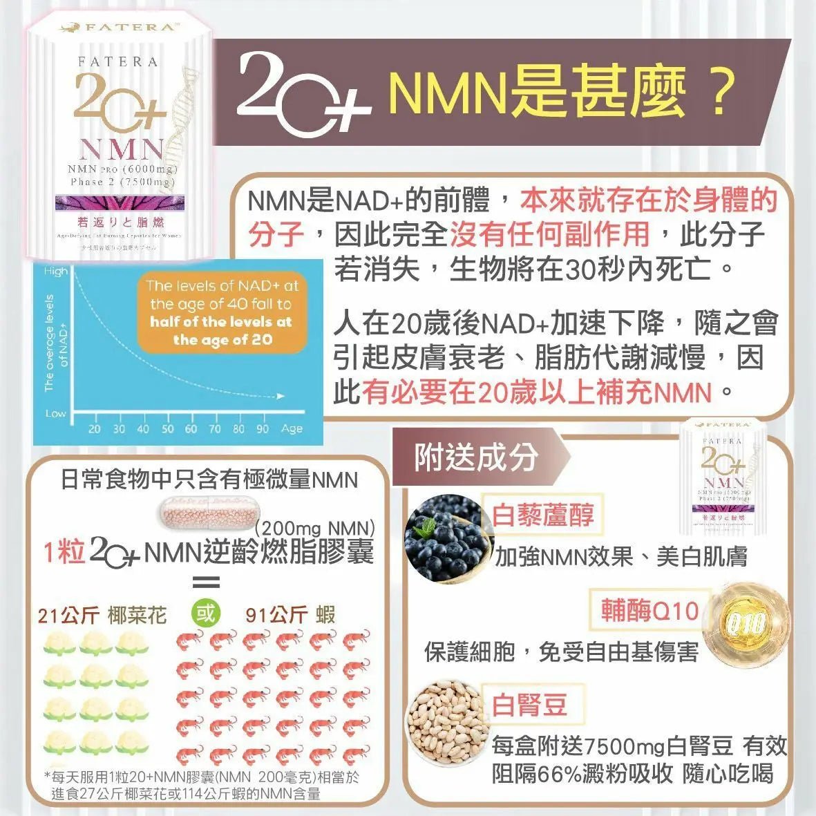 【一口價$248 /盒】Fatera 20+ NMN HLY & CHOCCICO