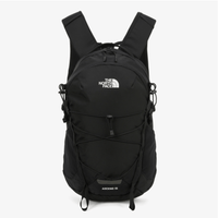 韓國直送25SS TNF ASCEND LT 15 BACKPACK - HLY & CHOCCICO