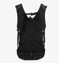 韓國直送25SS TNF ASCEND LT 15 BACKPACK - HLY & CHOCCICO