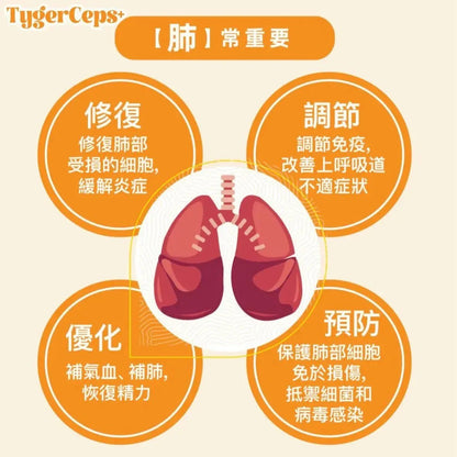 【一口價$499/盒】⭐️最新升級版配方⭐ TygerCeps+ 虎乳芝益肺寶 每盒有20包（一包20ml） - HLY &amp; CHOCCICO
