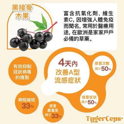 【一口價$499/盒】⭐️最新升級版配方⭐ TygerCeps+ 虎乳芝益肺寶 每盒有20包（一包20ml） - HLY &amp; CHOCCICO