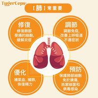 【一口價$499/盒】⭐️最新升級版配方⭐ TygerCeps+ 虎乳芝益肺寶 每盒有20包（一包20ml） HLY & CHOCCICO
