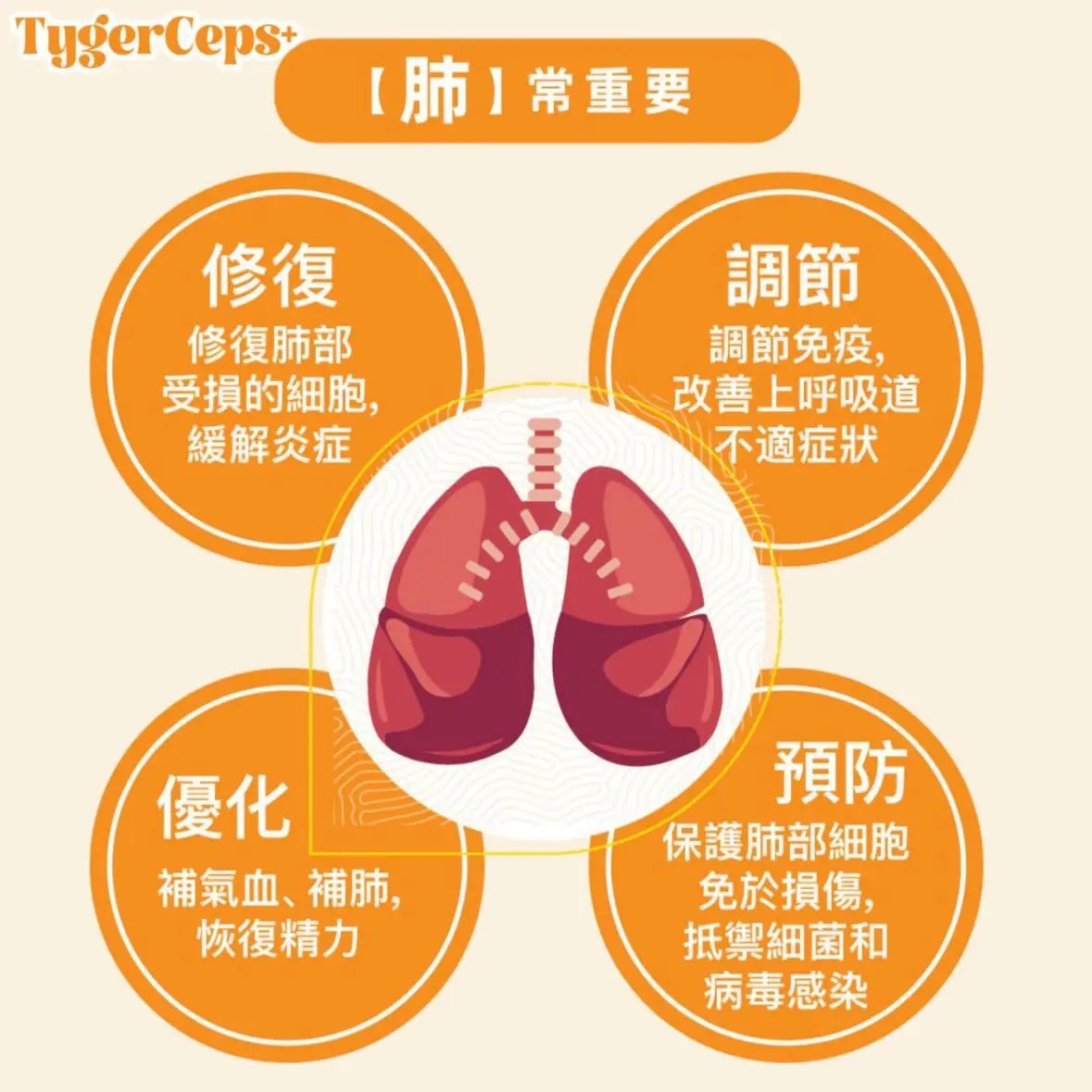 【一口價$499/盒】⭐️最新升級版配方⭐ TygerCeps+ 虎乳芝益肺寶 每盒有20包（一包20ml） HLY & CHOCCICO