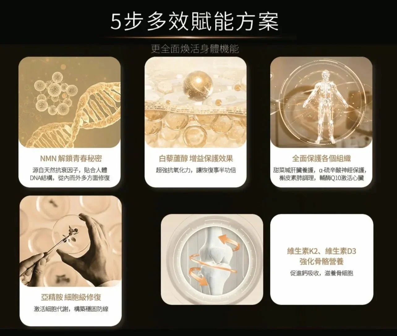 AIDEVI NMN 21000+ 升級逆齡補充劑 60粒｜美國製造｜全新升級提升 - HLY &amp; CHOCCICO