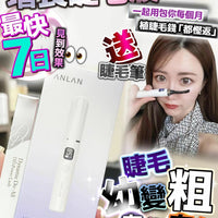 睫毛液送Anlan 翹起睫毛筆睫毛筆 HLY & CHOCCICO