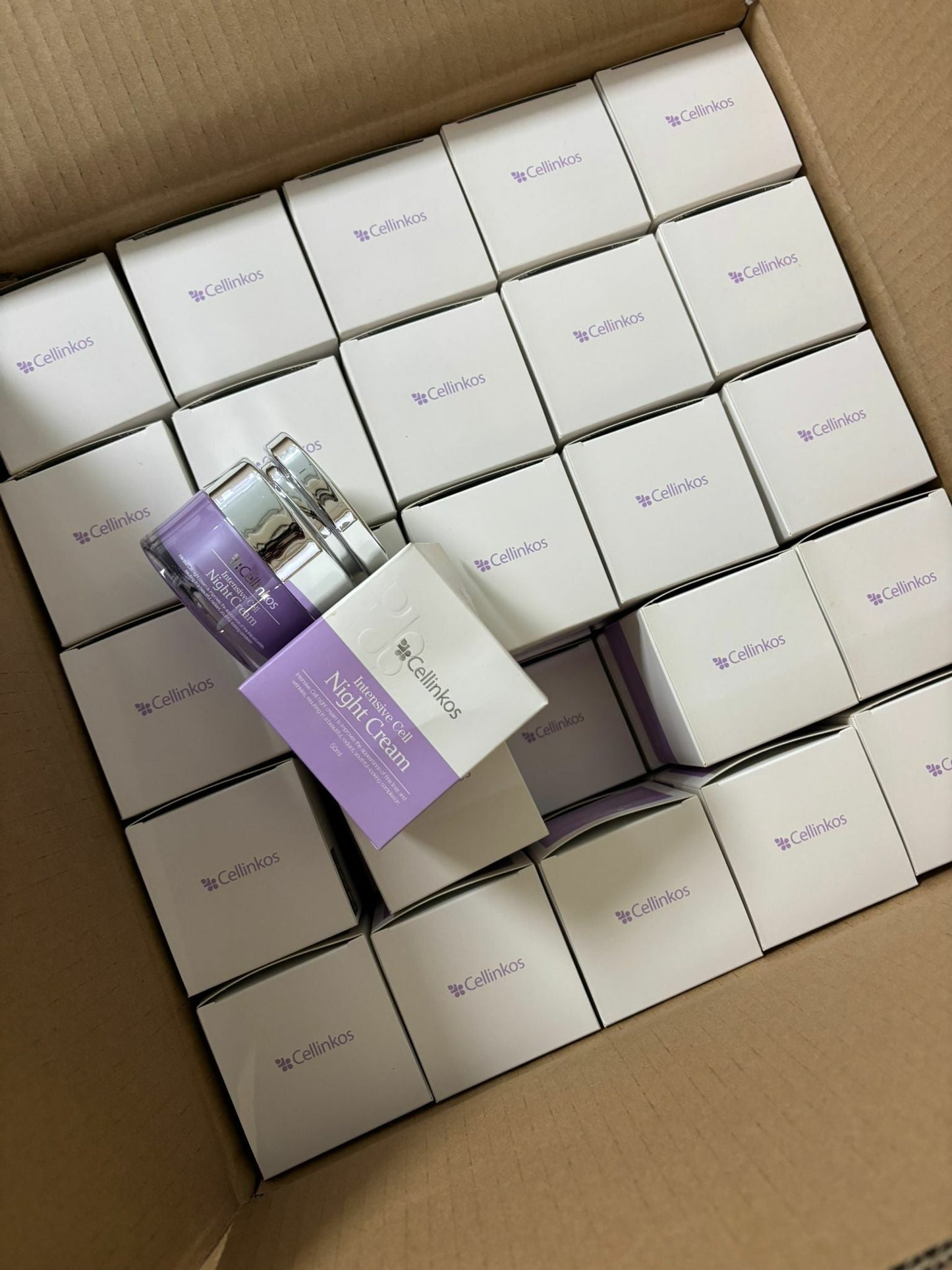 Cellinkos細胞煥膚重新晚霜 - HLY & CHOCCICO