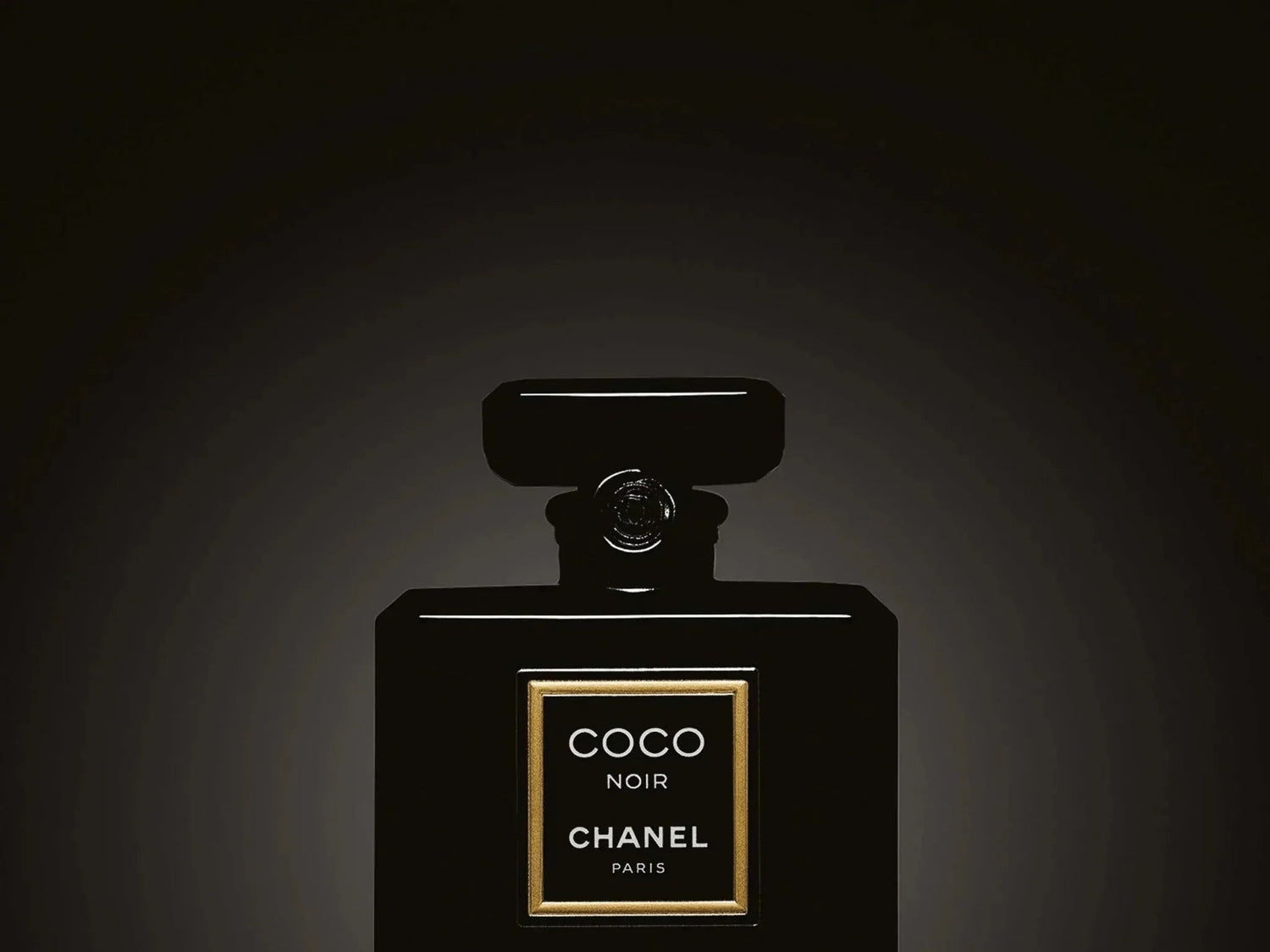 Chanel Coco Noir EAU DE PARFUM Spray (100mL) 免稅貨 - HLY &amp; CHOCCICO