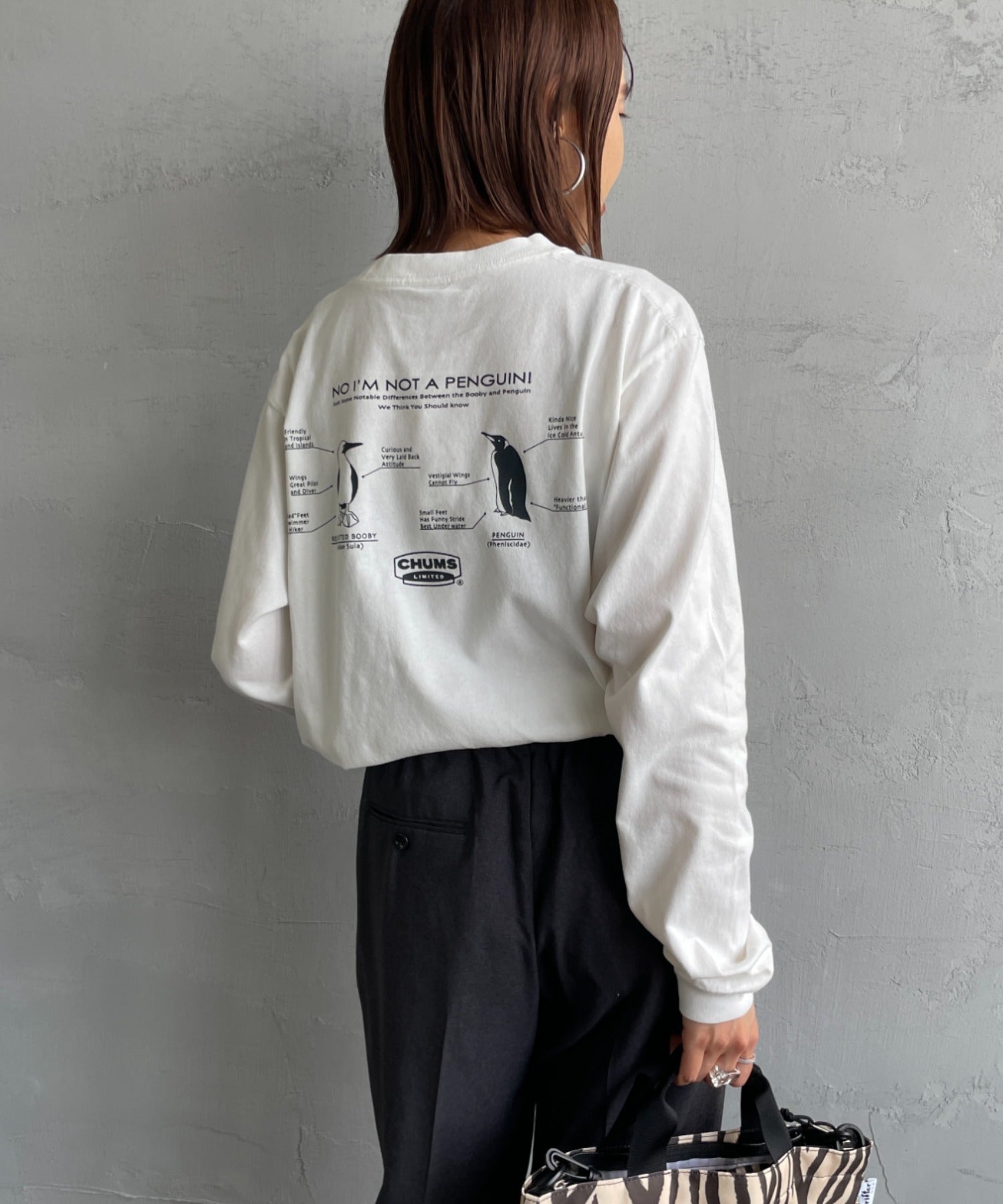 Chums  Brushed Back Print Long Sleeve T-shirt HLY & CHOCCICO