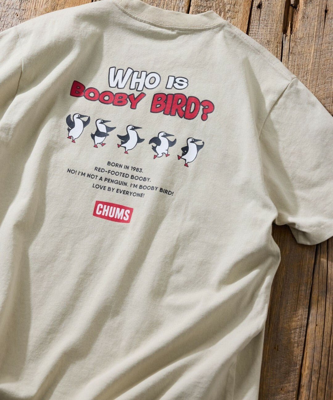 CHUMS 別注 Who is booby  bird T-shirt -4 Color HLY & CHOCCICO