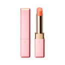 Cle de Peau Beaute CDP 完美亮澤潤唇膏 2.8g  (免稅貨) HLY & CHOCCICO