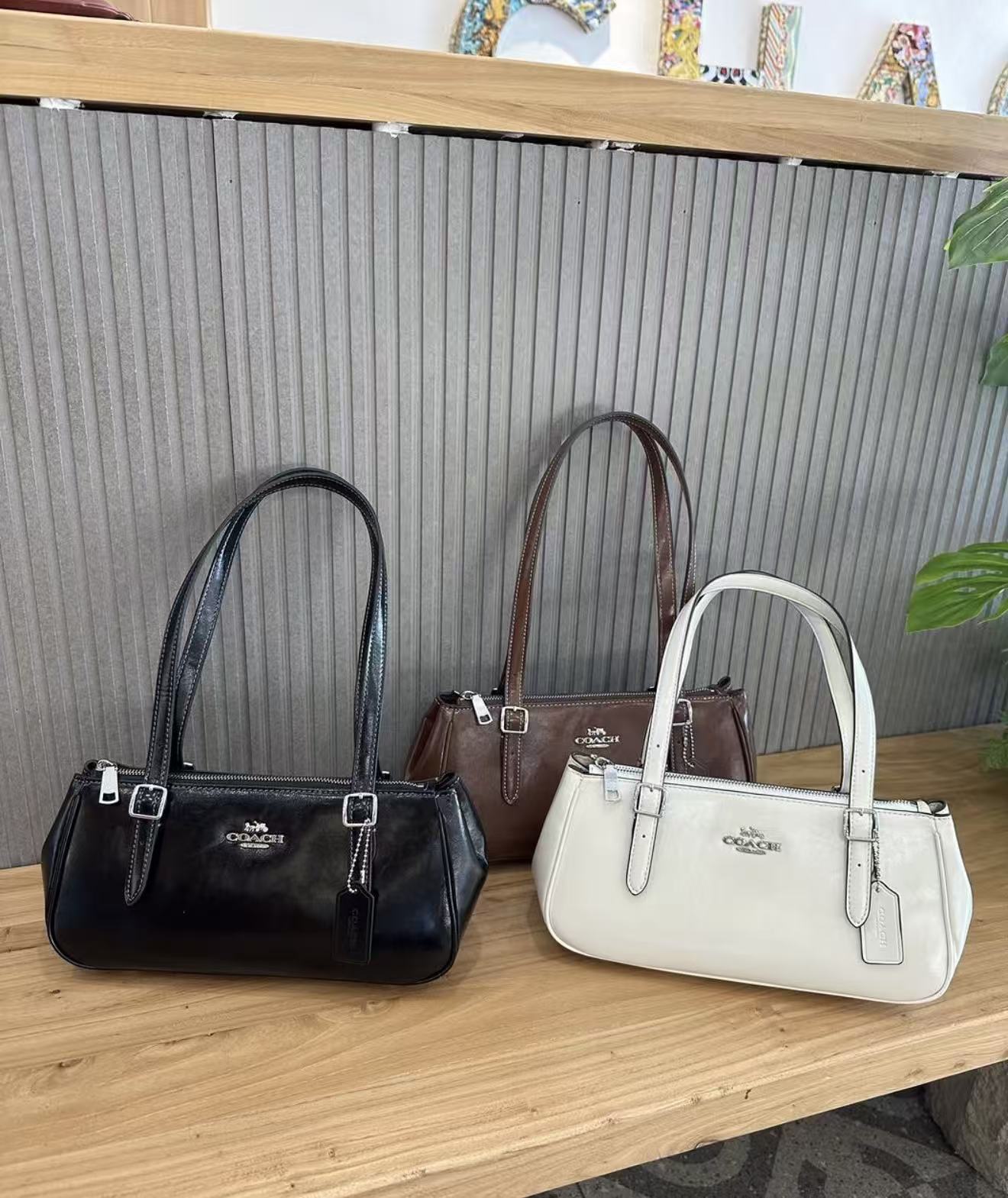 Coach Asher Shoulder Bag - HLY &amp; CHOCCICO