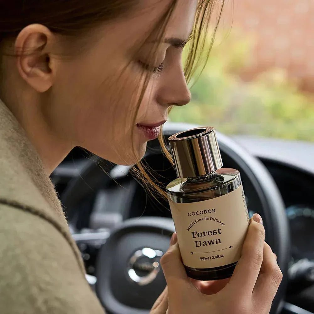 COCODOR 經典車載香薰 160ml - HLY &amp; CHOCCICO