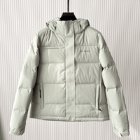 Columbia Omni - Tech Down Jacket - HLY & CHOCCICO