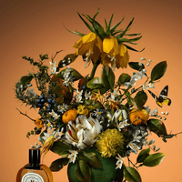 DIPTYQUE 限量藝術創作化身精美香水系列 100 ml - HLY & CHOCCICO